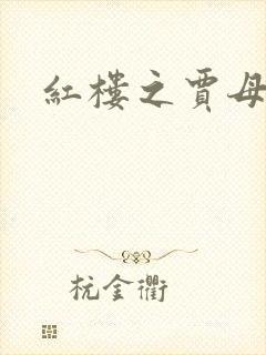 红楼之贾母封面