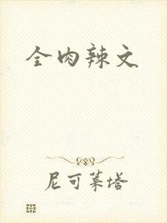 全肉辣文