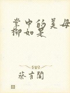 掌中的美母版主柳如是封面