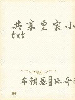 共享皇家小公主txt