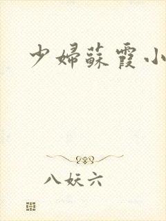 少妇苏霞小说封面