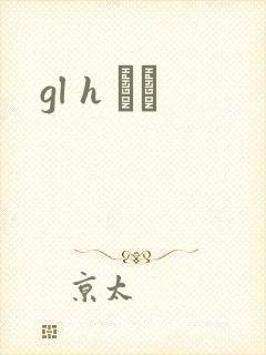 gl h С˵封面