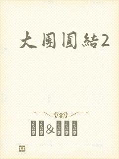大团圆结2