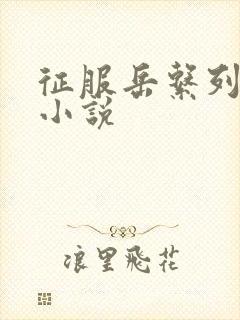 征服岳系列短篇小说封面