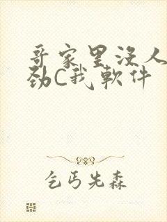 哥家里没人使点劲C我软件