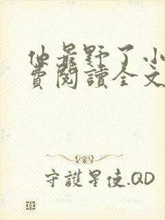 他最野了小说免费阅读全文