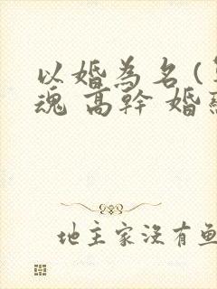 以婚为名 (军魂 高干 婚恋)