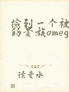 捡到一个被抹布的贵族omega