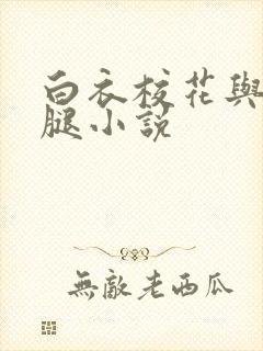 白衣校花与大长腿小说