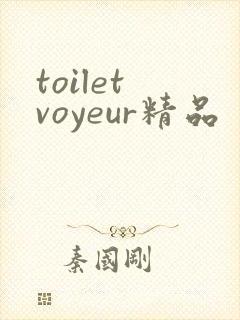 toilet voyeur精品封面