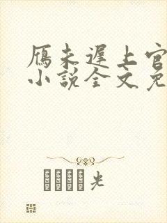 雁未迟上官穿越小说全文免费阅读封面