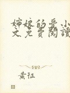 婶娘的爱小说全文免费阅读