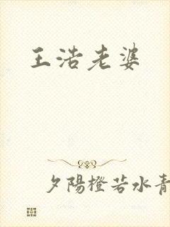 王浩老婆封面