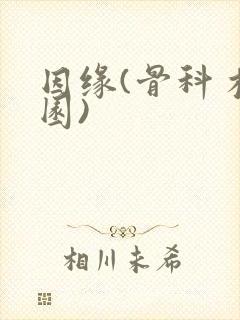 因缘(骨科 校园)