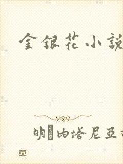 金银花小说乐可