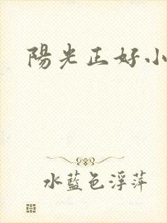 阳光正好小说封面