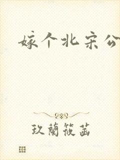 嫁个北宋公务员