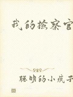 我的检察官先生封面