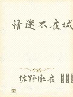 情迷不夜城