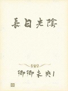 长日光阴封面