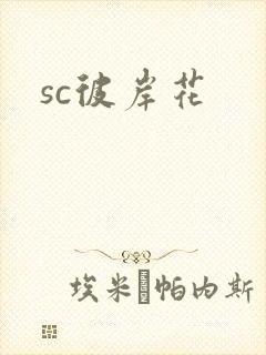 sc彼岸花封面
