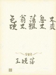 色翁荡息又大又硬又粗又爽封面