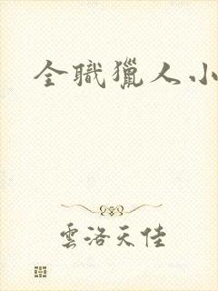 全职猎人小说封面