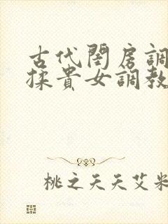 古代闺房调教h揉贵女调教记