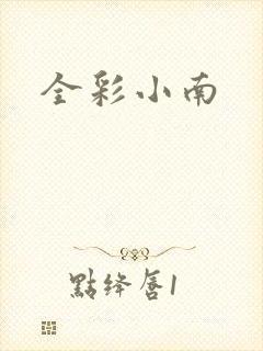 全彩小南封面