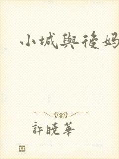小城与后妈封面