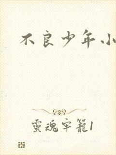 不良少年小说