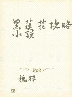 黑莲花攻略手册小说封面