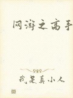 网游之高手寂寞