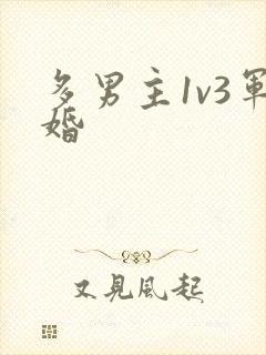 多男主1v3军婚