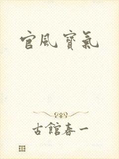 官风宝气封面