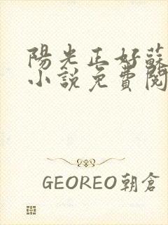 阳光正好苏玥玥小说免费阅读封面