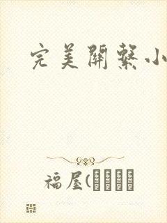 完美关系小说封面