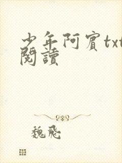 少年阿宾txt阅读