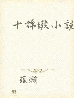 十锦缎小说封面