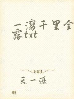 一泻千里金银花露txt