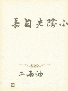 长日光阴小说封面