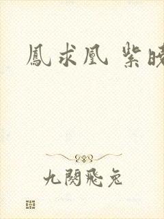 凤求凰 紫晓封面