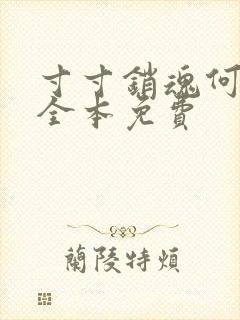 寸寸销魂何生祥全本免费