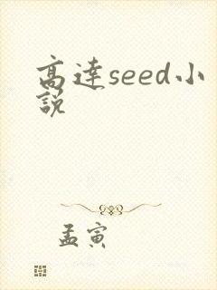 高达seed小说