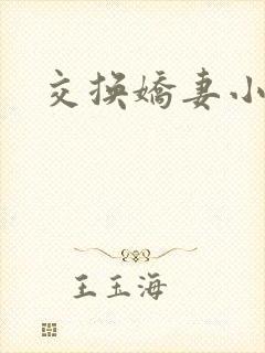 交换娇妻小说