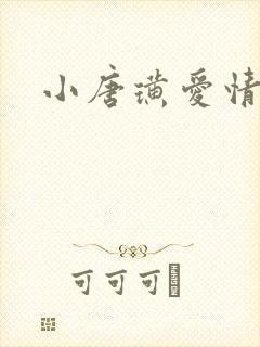 小唐璜爱情历史