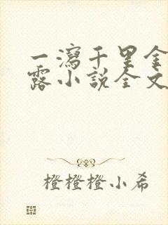 一泻千里金银花露小说全文免费阅读封面