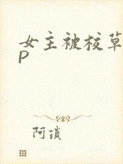 女主被校草们NP