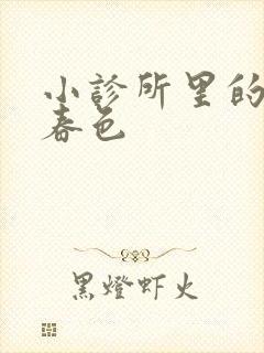 小诊所里的无边春色封面