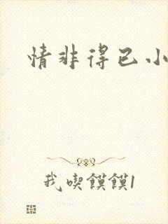 情非得已小说封面